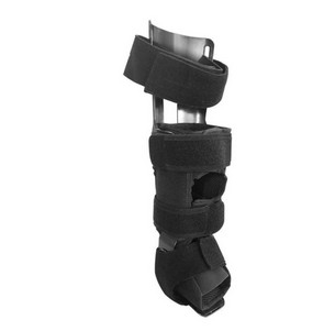 Appui de Mesh Fabric Pro Lightweight Ankle avec l'appui inférieur de jambe
